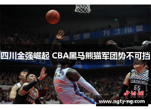 四川金强崛起 CBA黑马熊猫军团势不可挡